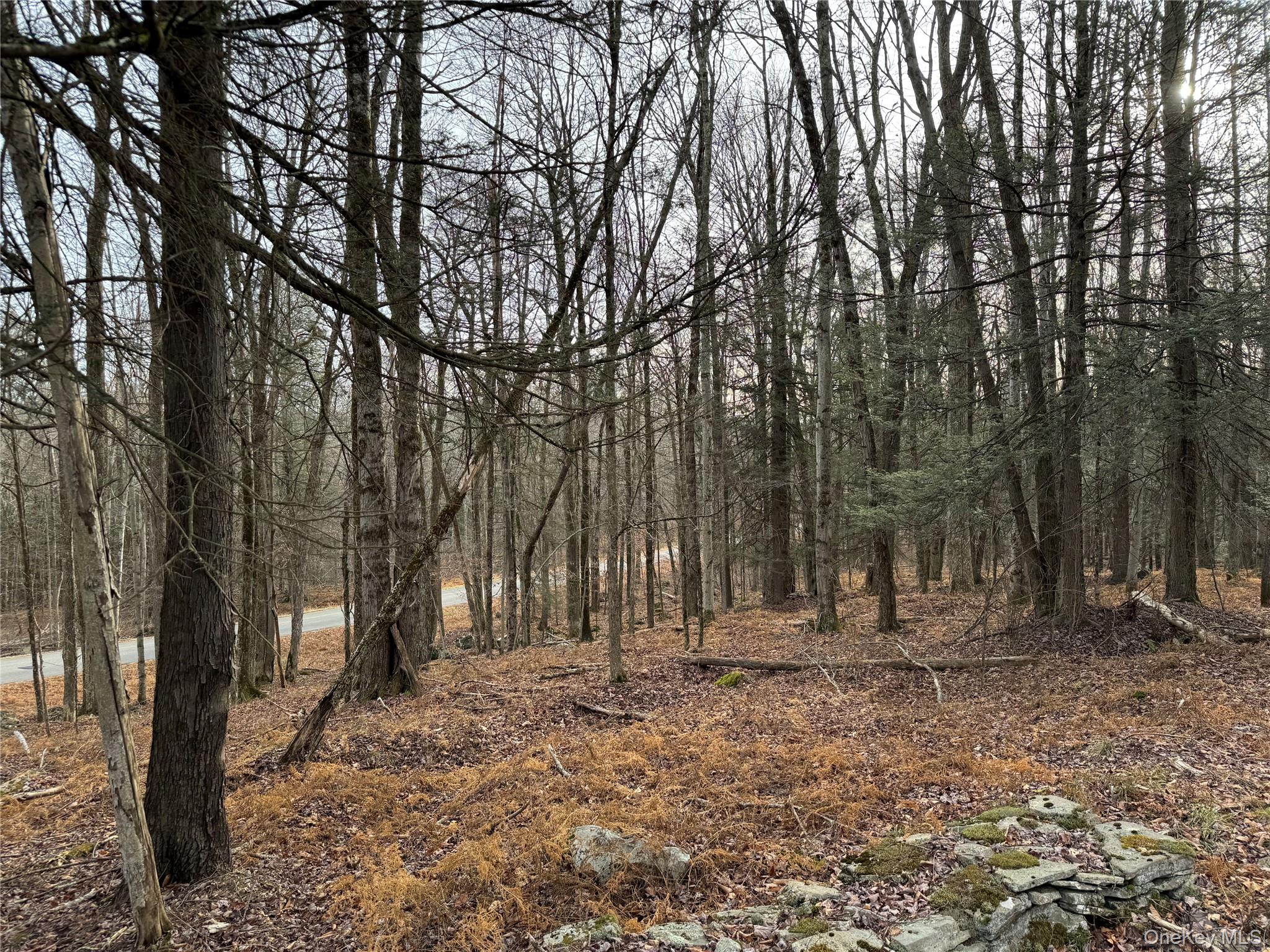 Hilltop Road Monticello, NY 12701 - Photo 15 of 17 a backyard of a house with lots of trees