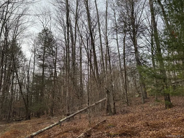 a view of backyard with large trees
