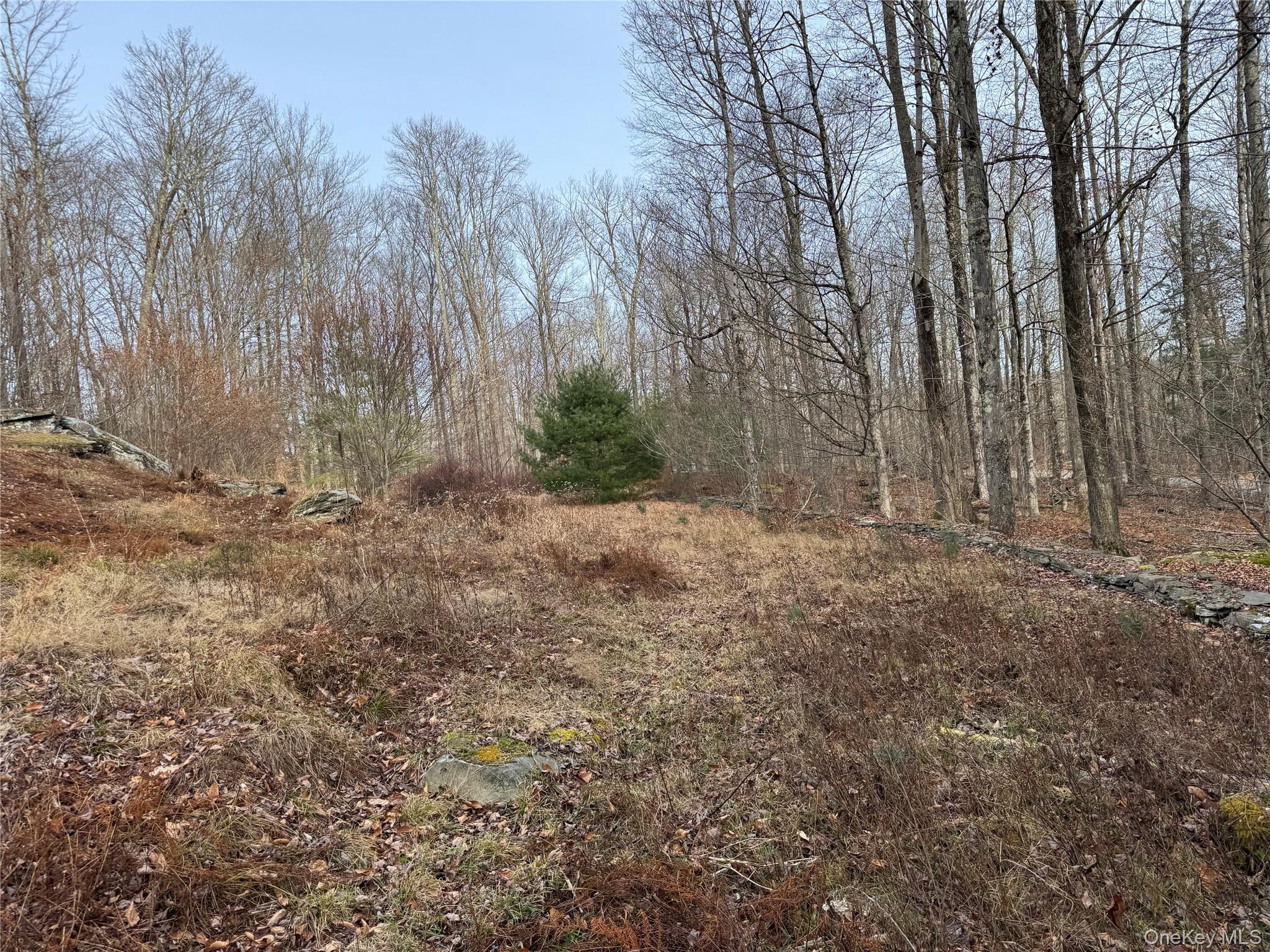 Hilltop Road Monticello, NY 12701 - Photo 17 of 17 a view of backyard with large trees