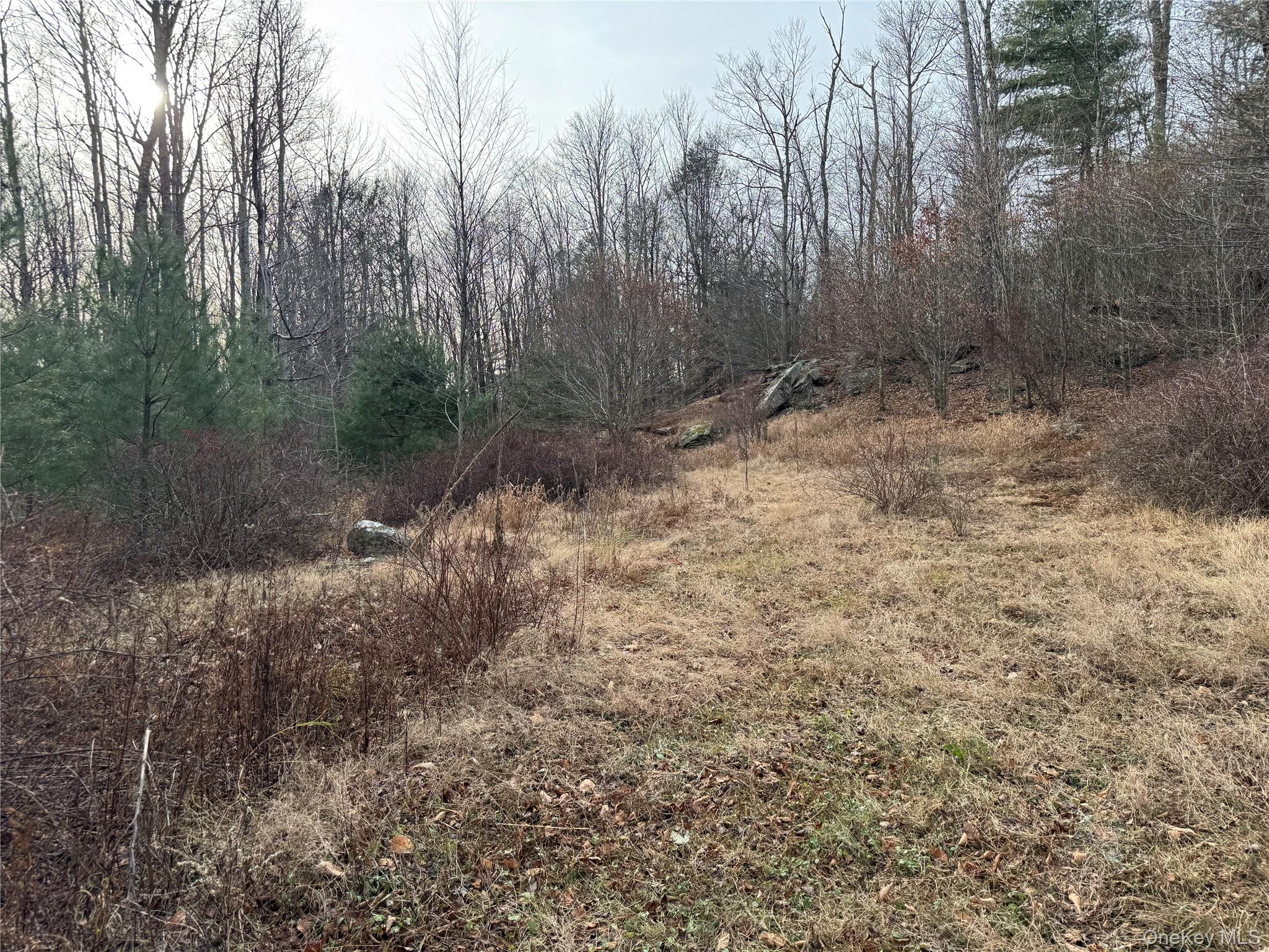 Hilltop Road Monticello, NY 12701 - Photo 3 of 17 a view of a forest with trees in the background