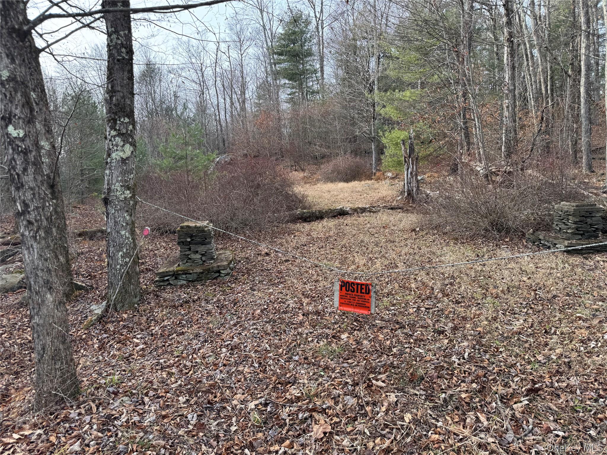 Hilltop Road Monticello, NY 12701 - Photo 5 of 17 a backyard of a house with lots of green space