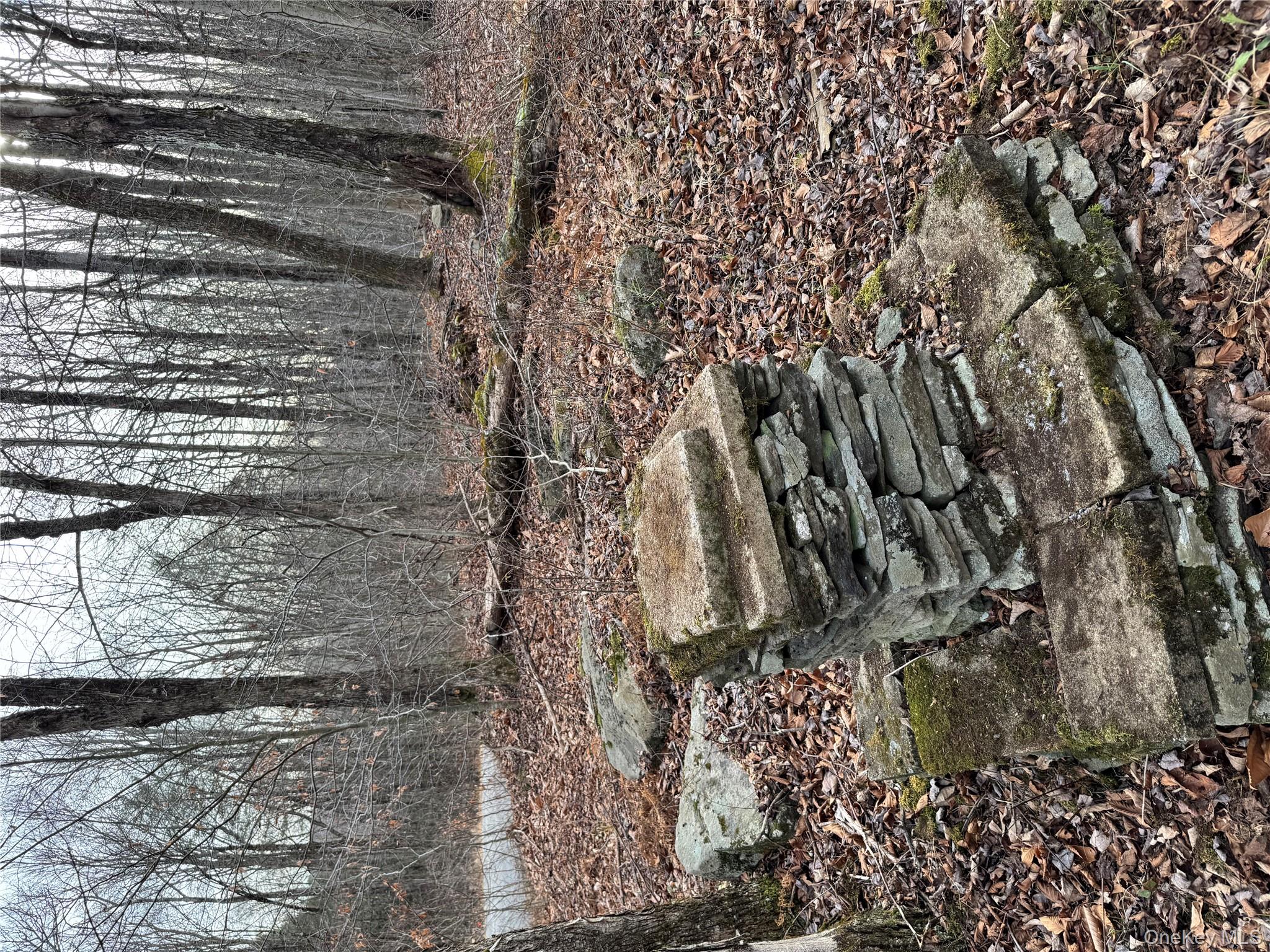 Hilltop Road Monticello, NY 12701 - Photo 6 of 17