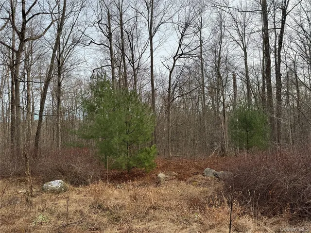 a bath room with a yard