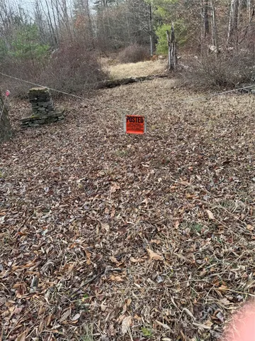 a view of outdoor space with lots of trees