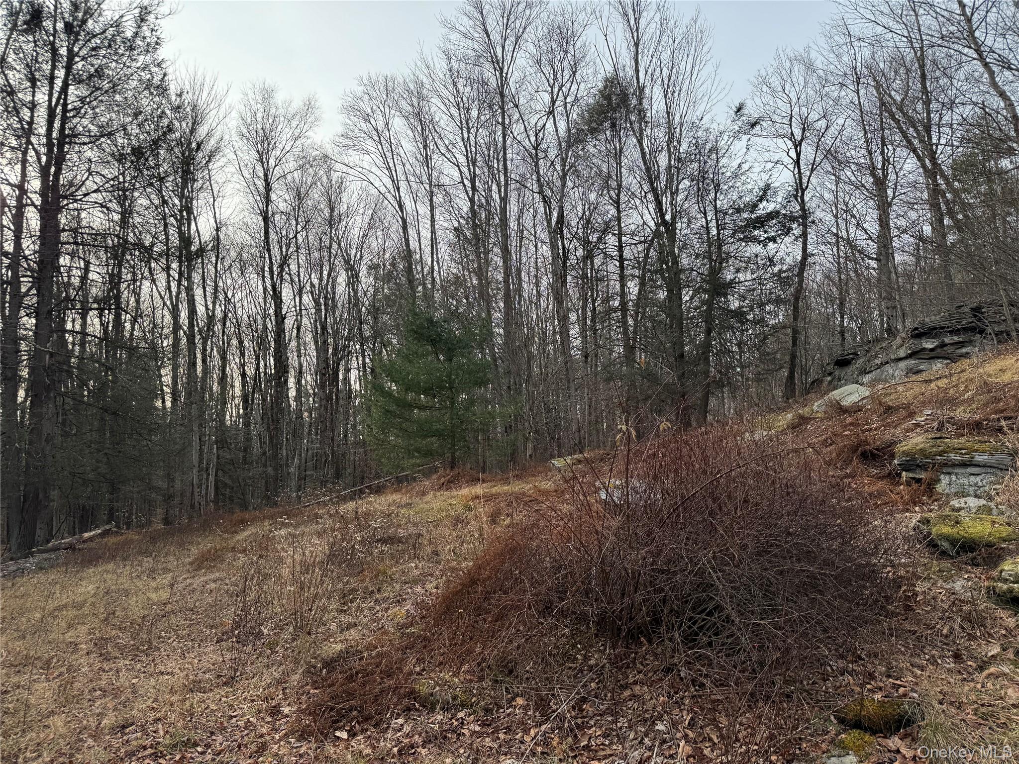 Hilltop Road Monticello, NY 12701 - Photo 9 of 17 a view of outdoor space with lots of trees