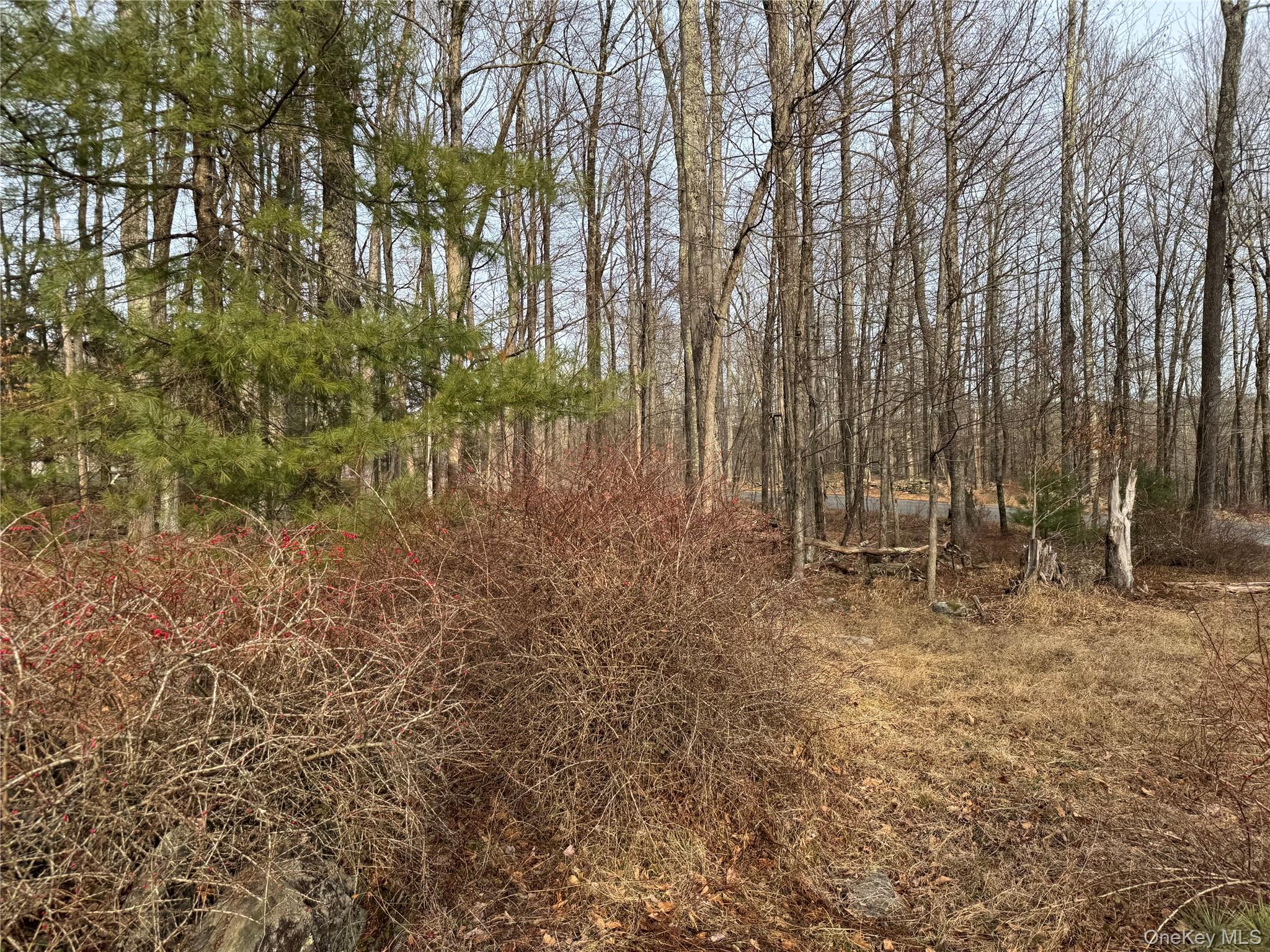 Hilltop Road Monticello, NY 12701 - Photo 10 of 17 a view of outdoor space with trees
