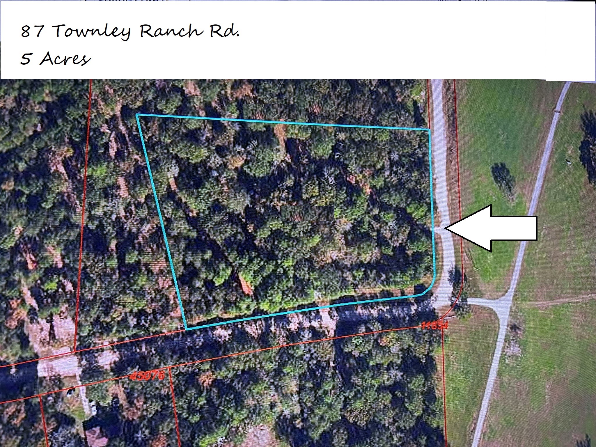 87 Townley Ranch Road Huntsville, TX 77320 - Photo 38 of 50