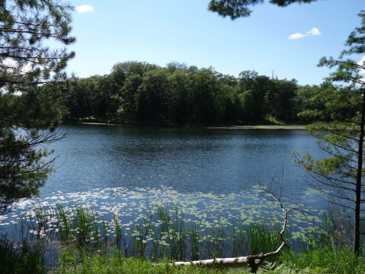 Lot 2 Bassett Road Minocqua, WI 54548 - Photo 7 of 15 Gallery Image 7