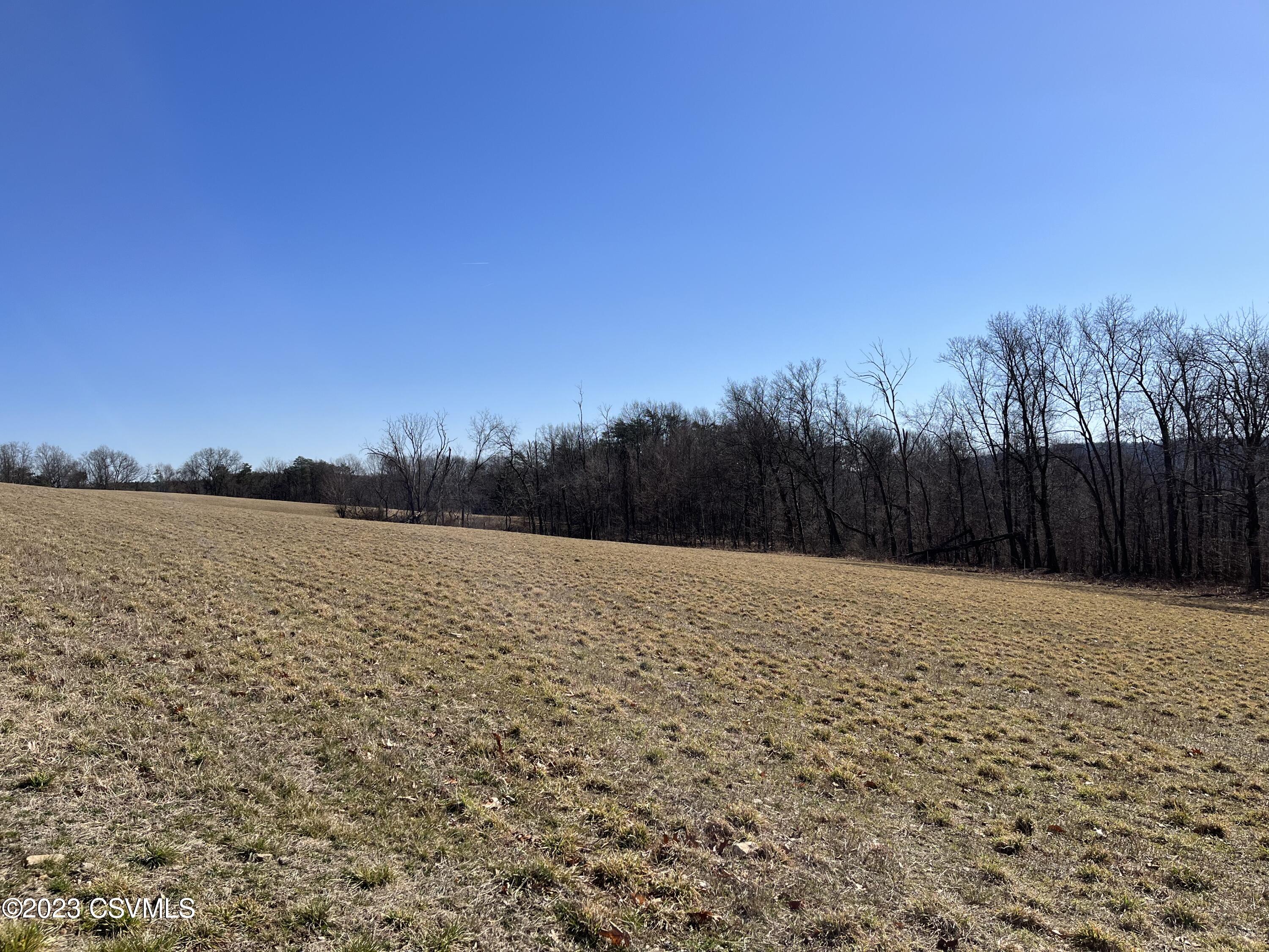 Lot No Lot Road Paxinos, PA 17860 - Photo 7 of 10 Gallery Image 7