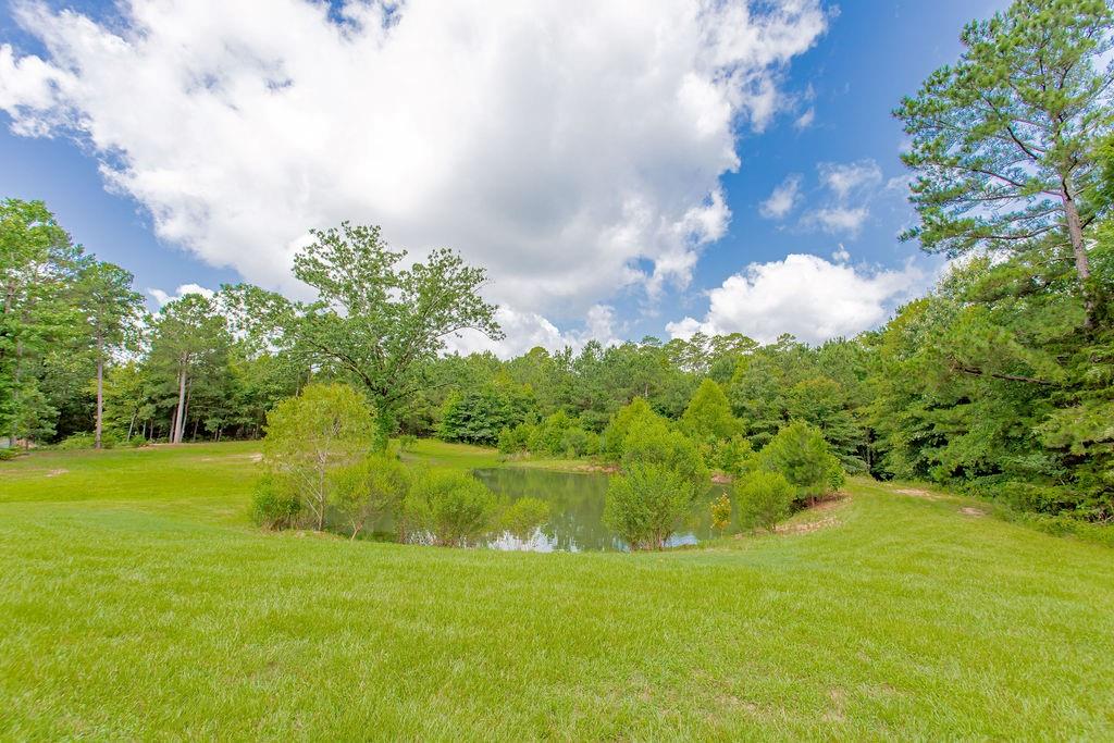 636 Roberson Road Hallsville, TX 75650 - Photo 12 of 36 a view of a big yard with plants and large trees