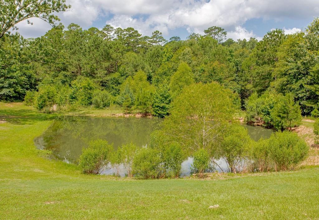 636 Roberson Road Hallsville, TX 75650 - Photo 36 of 36 a view of a garden with an ocean