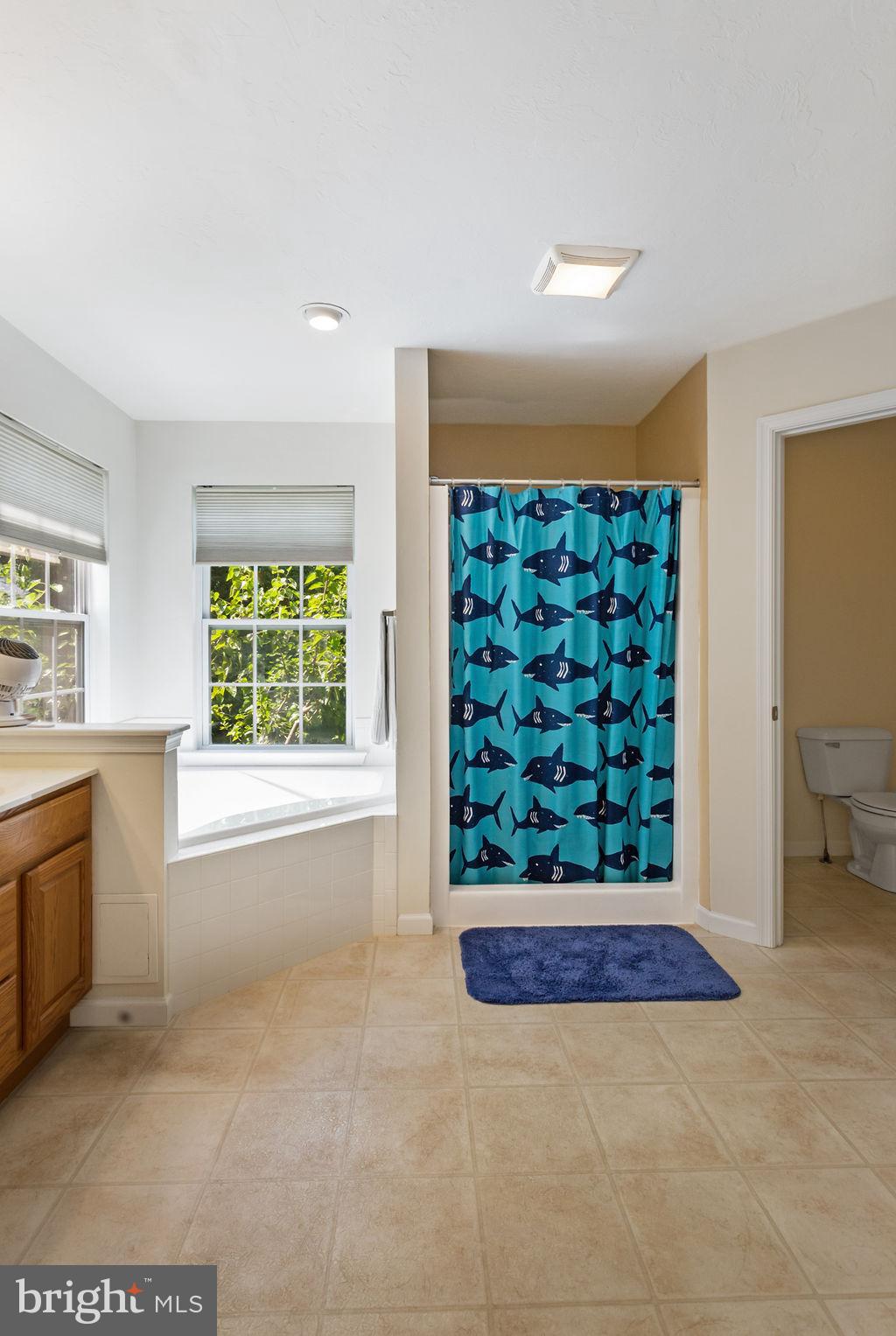 439 Joshua Court Hanover, PA 17331 - Photo 18 of 40