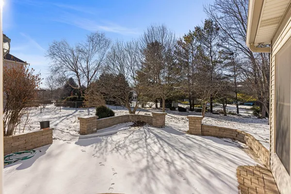 a view of a yard with trees