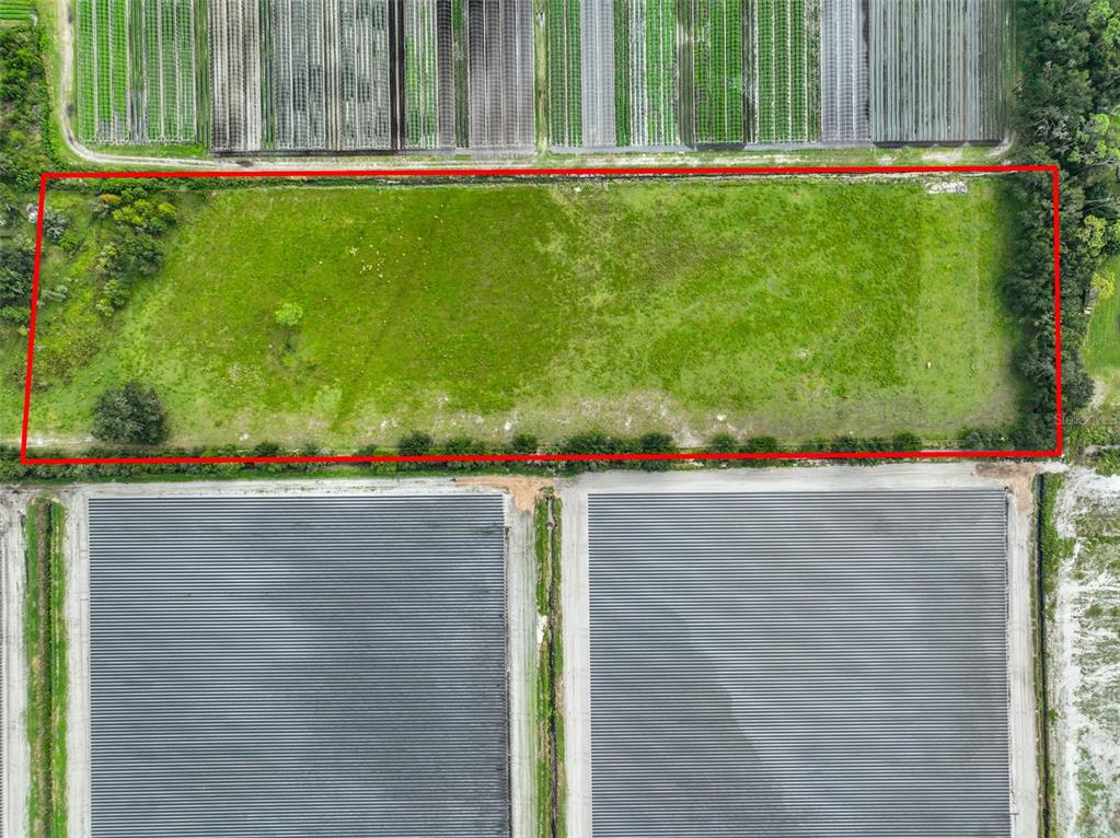 8711 Highway 674 Wimauma, FL 33598 - Photo 13 of 19 a view of outdoor space and yard