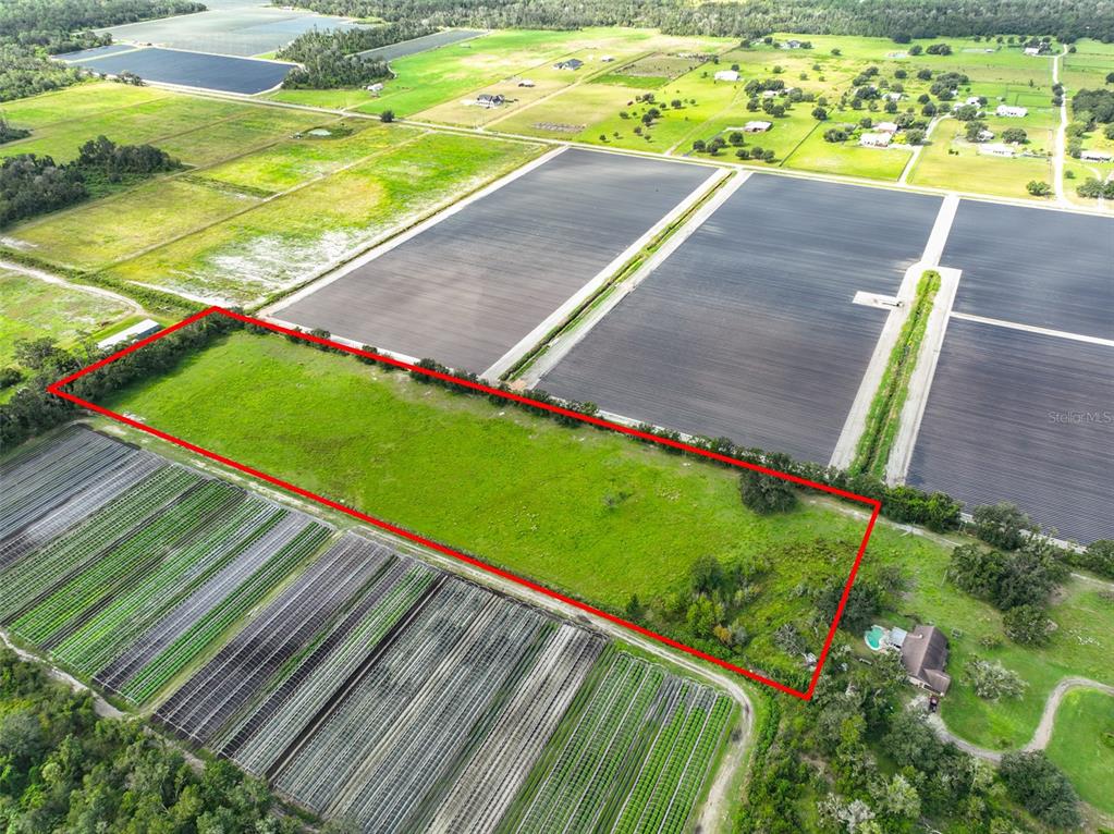 8711 Highway 674 Wimauma, FL 33598 - Photo 9 of 19 a view of a backyard with floor to ceiling windows