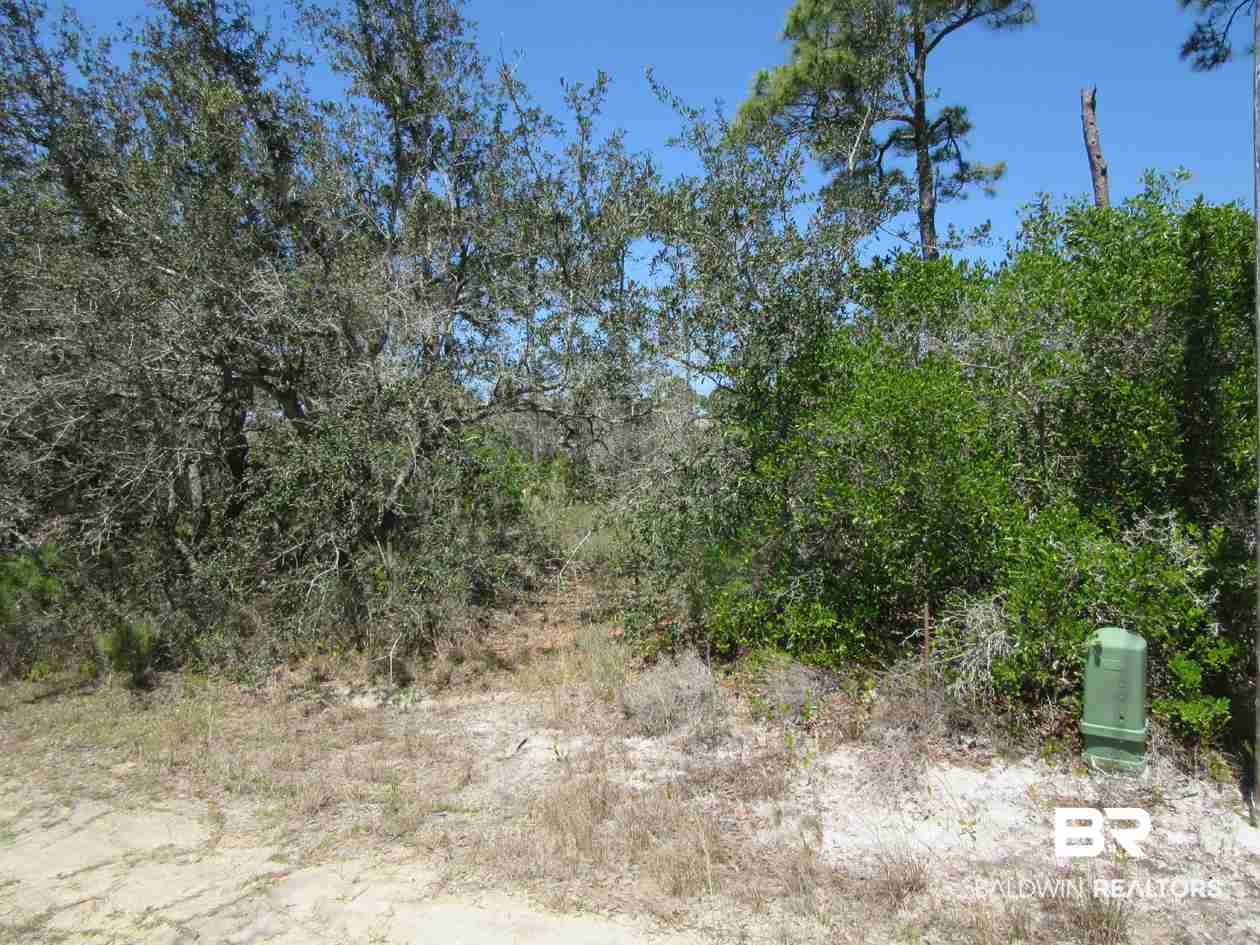 Zeanah Road Gulf Shores, AL 36542 - Photo 13 of 15