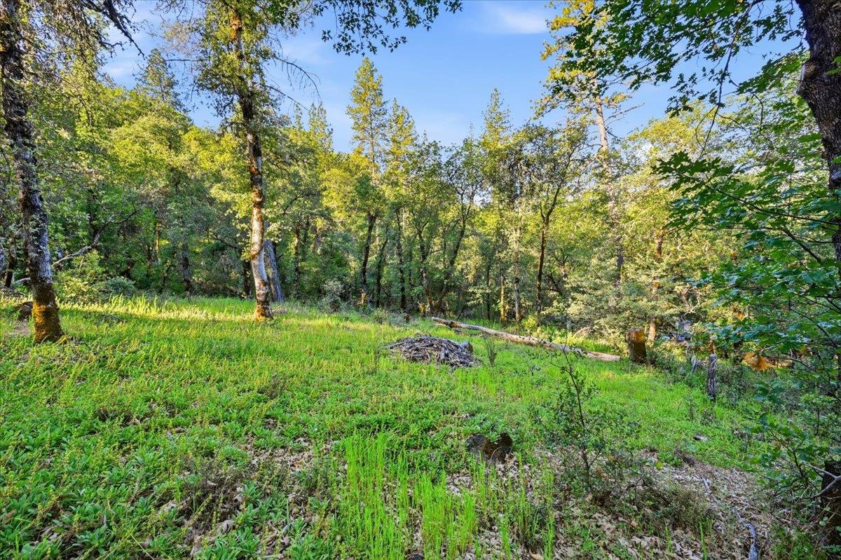 16095 Auburn Road Grass Valley, CA 95949 - Photo 16 of 20