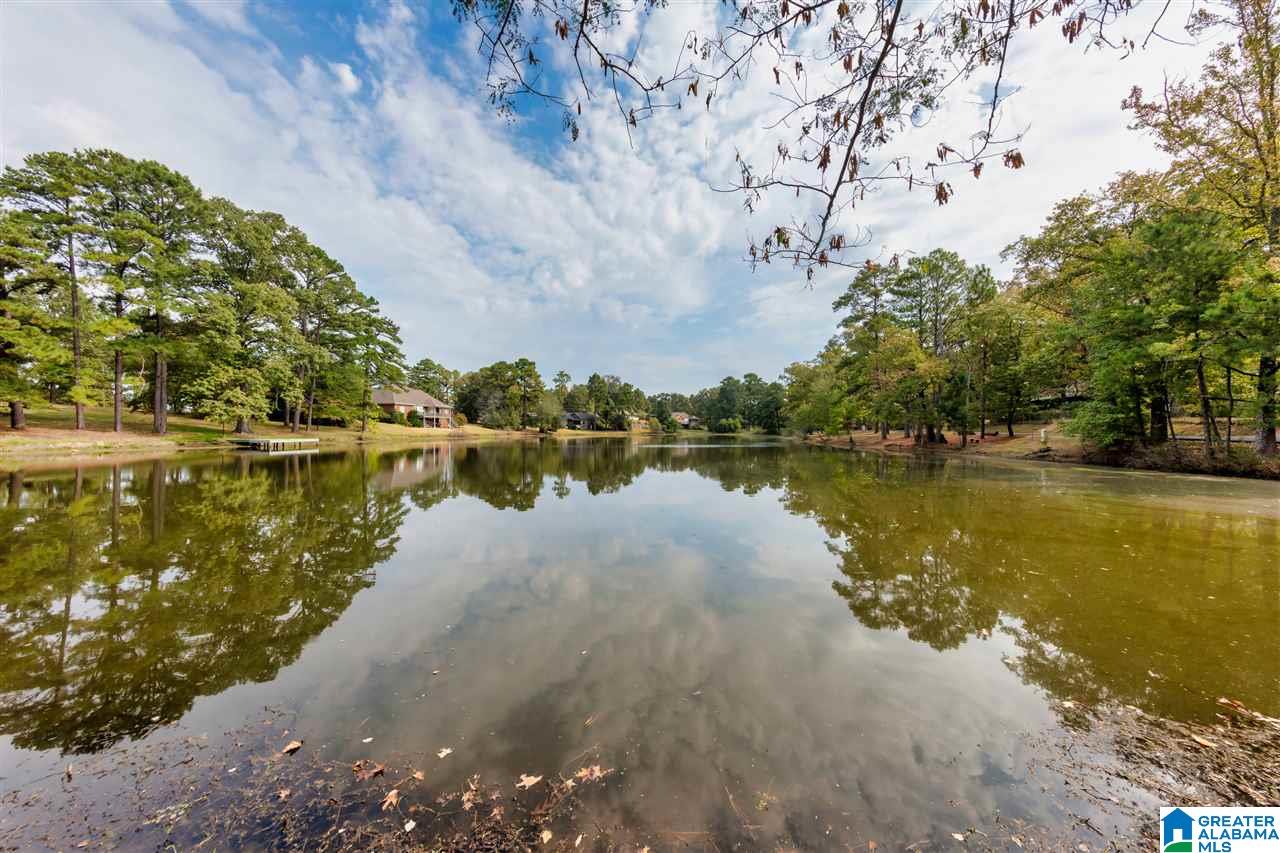 8101 Serene Lake Road McCalla, AL 35111 - Photo 42 of 42