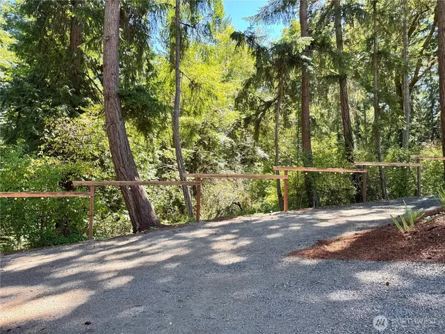 a view of a yard with plants and trees