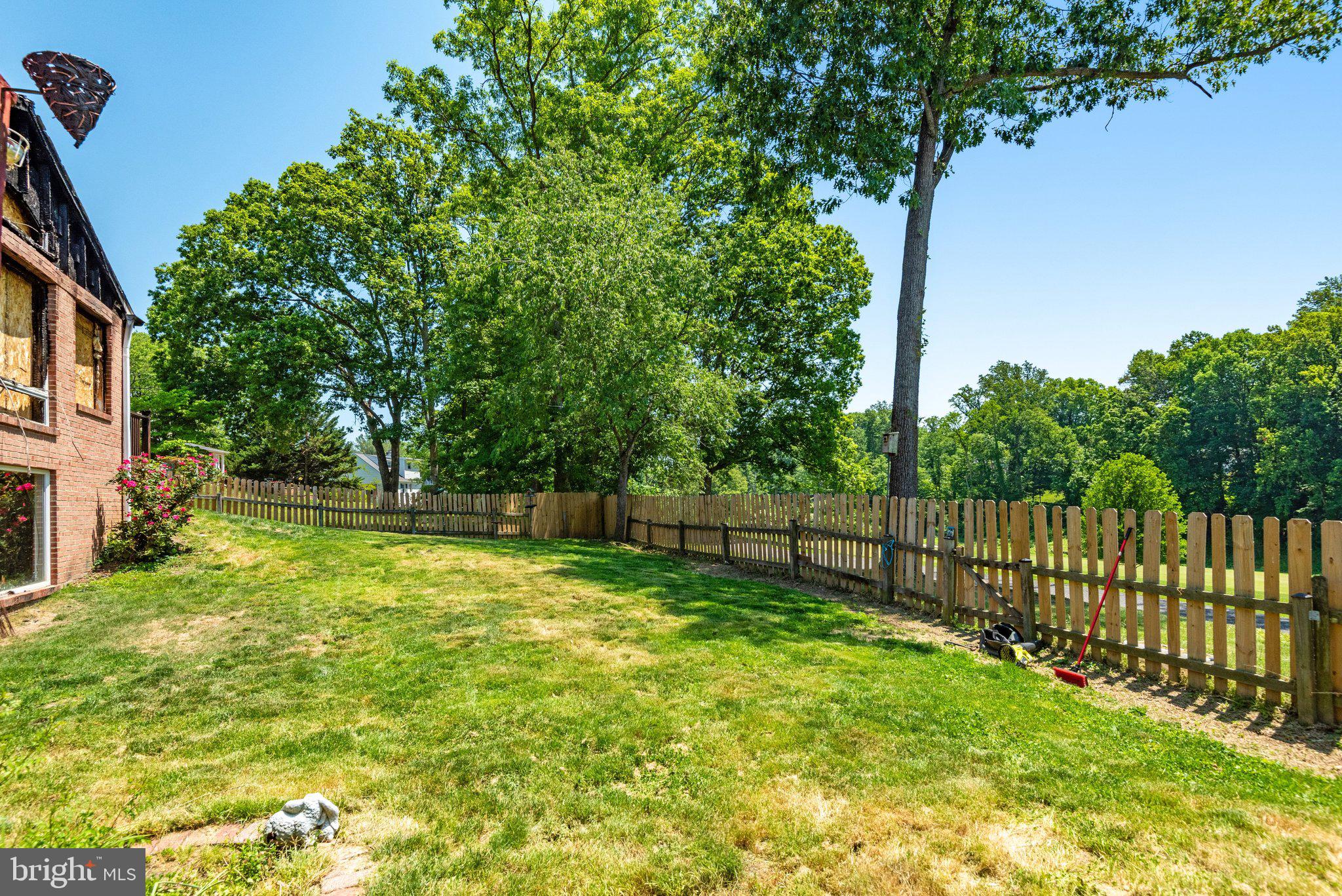 7905 Jansen Court Springfield, VA 22152 - Photo 8 of 26 a view of a backyard with large trees