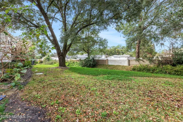 a view of a park with large trees