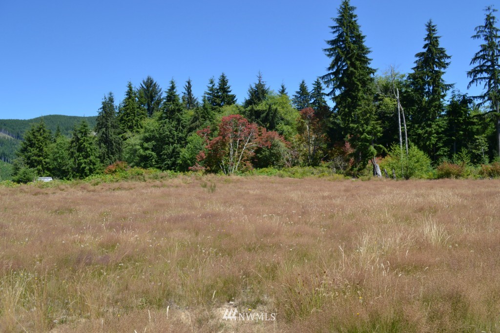 1 Elk Corner Rd Forks Forks, WA 98331 - Photo 1 of 1 Gallery Image 1