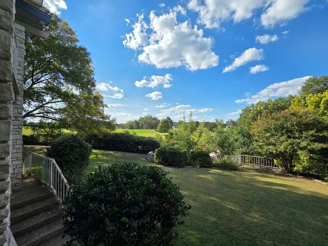 a view of a yard with plants and trees