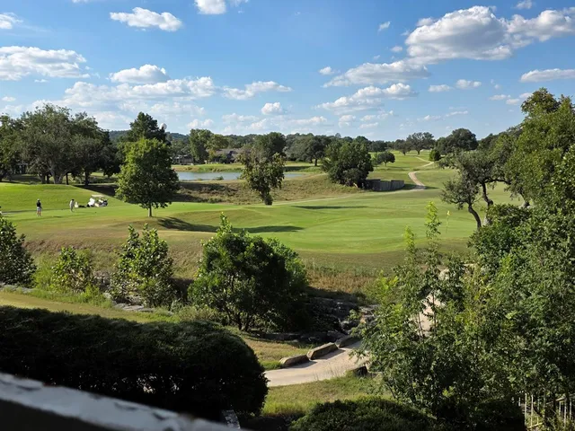 a view of a grassy field with trees around