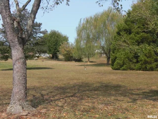 a view of a field with trees