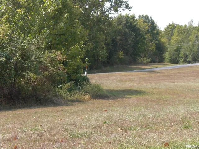 a view of empty field with trees