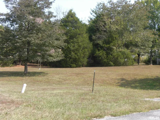 a view of dirt field with trees
