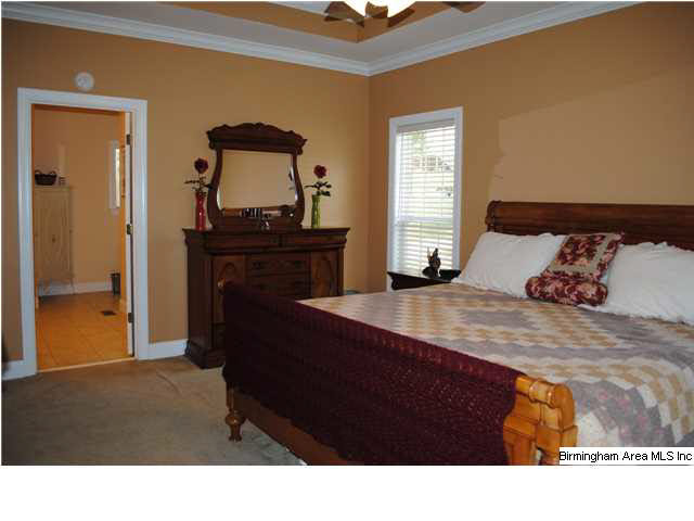 22201 Sandra Lane McCalla, AL 35111 - Photo 15 of 32