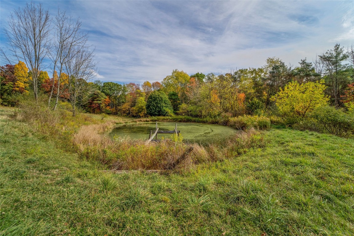 310 Rhodes Road Apalachin, NY 13732 - Photo 19 of 19 Gallery Image 19