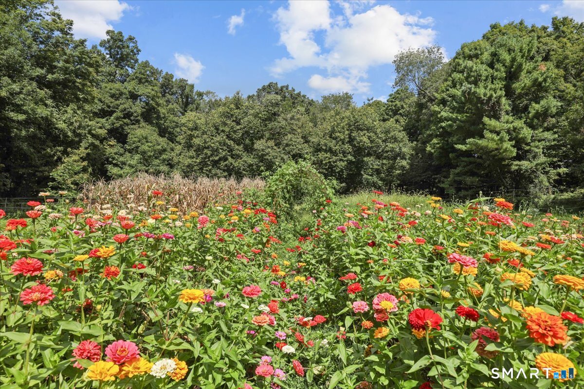 11 John Read Road Redding, CT 06896 - Photo 40 of 40 Gallery Image 40