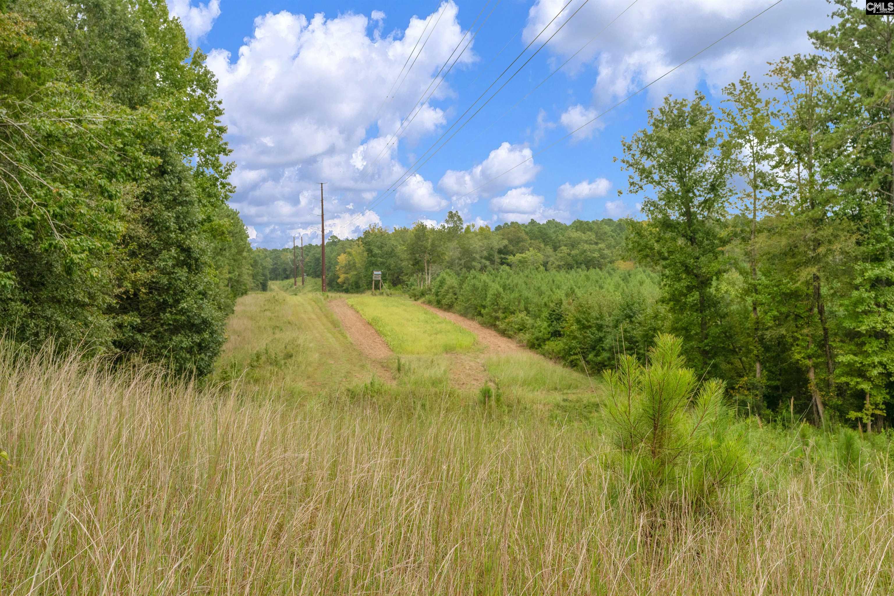 0 Penner Road, Unit 10 Jenkinsville, SC 29065 - Photo 40 of 43