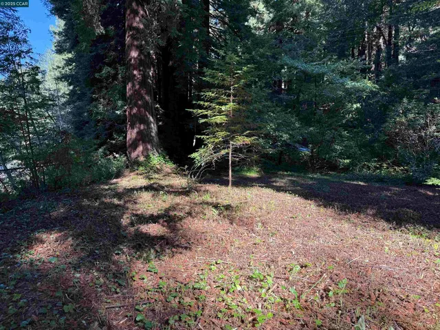 $649,000 | 1445 Austin Creek Road, Cazadero, CA 95421