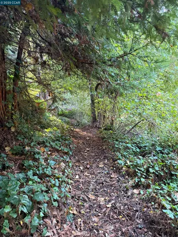 $649,000 | 1445 Austin Creek Road, Cazadero, CA 95421