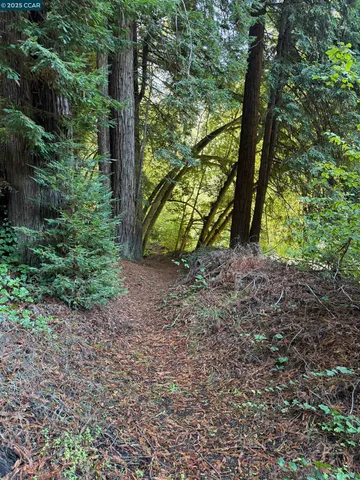 $649,000 | 1445 Austin Creek Road, Cazadero, CA 95421