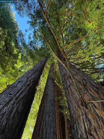 $649,000 | 1445 Austin Creek Road, Cazadero, CA 95421