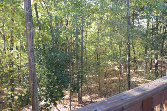 a view of a forest from balcony