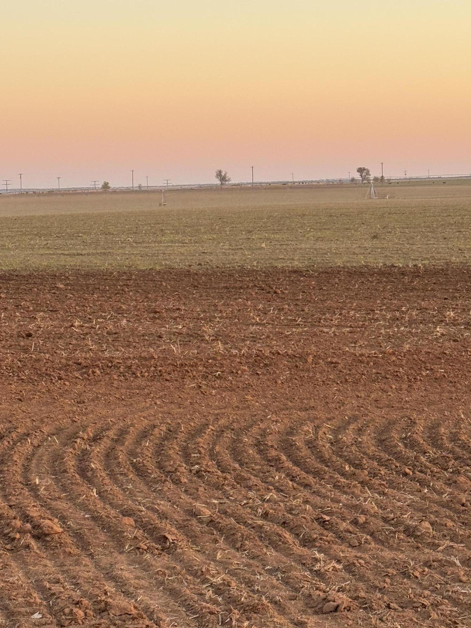 1548 Fm 1548 Shamrock, TX 79079 - Photo 1 of 10 a view of an ocean beach and beach