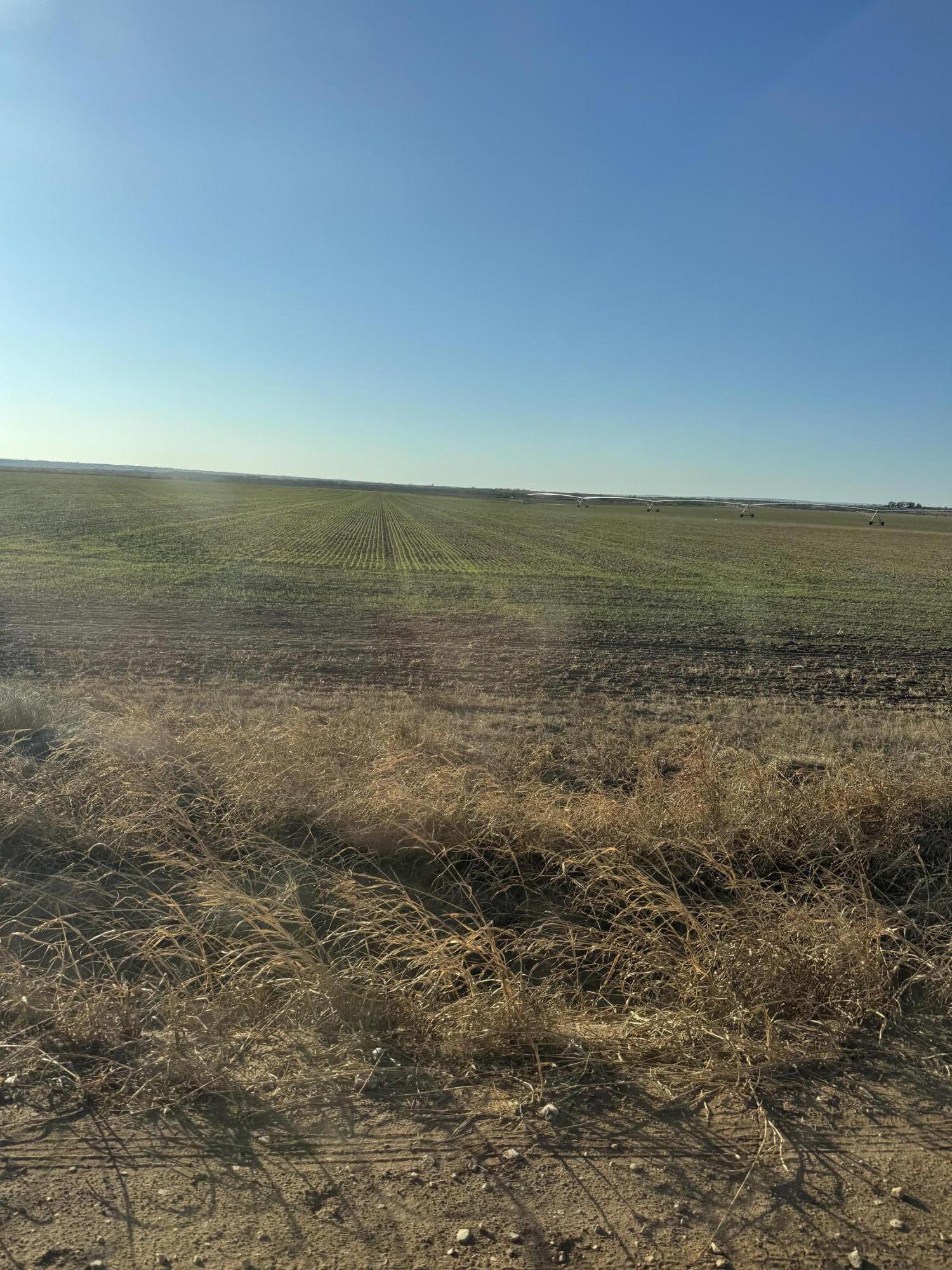 1548 Fm 1548 Shamrock, TX 79079 - Photo 2 of 10 a view of an ocean