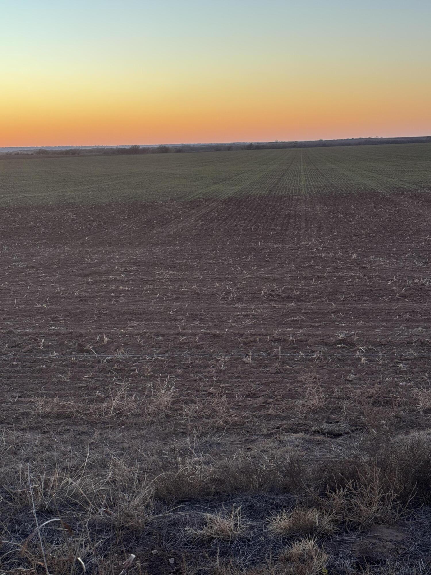 1548 Fm 1548 Shamrock, TX 79079 - Photo 10 of 10 a view of a dry yard with trees in the background