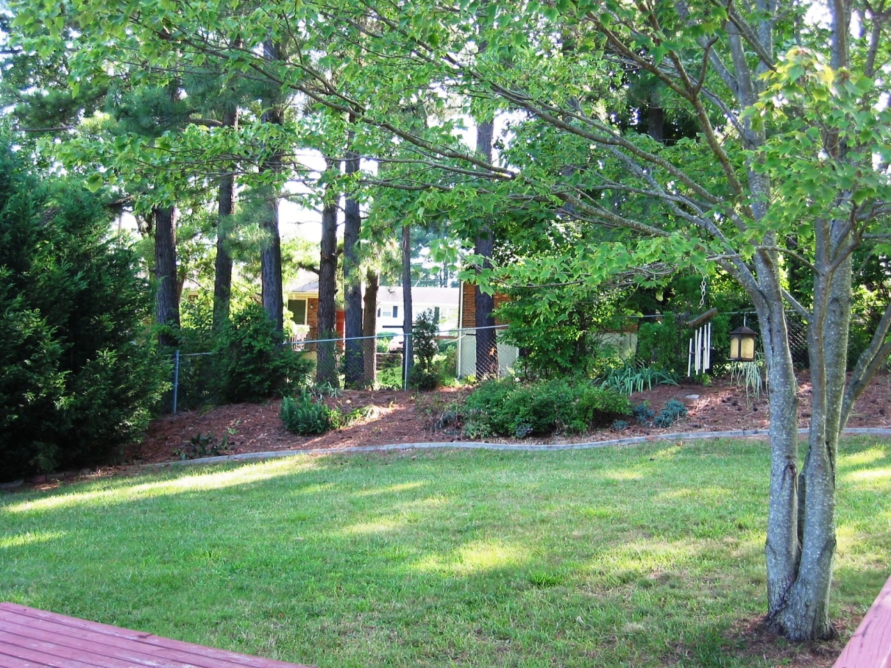 2428 Meadowbrook Road Northwest Roanoke, VA 24017 - Photo 13 of 14 Backyard