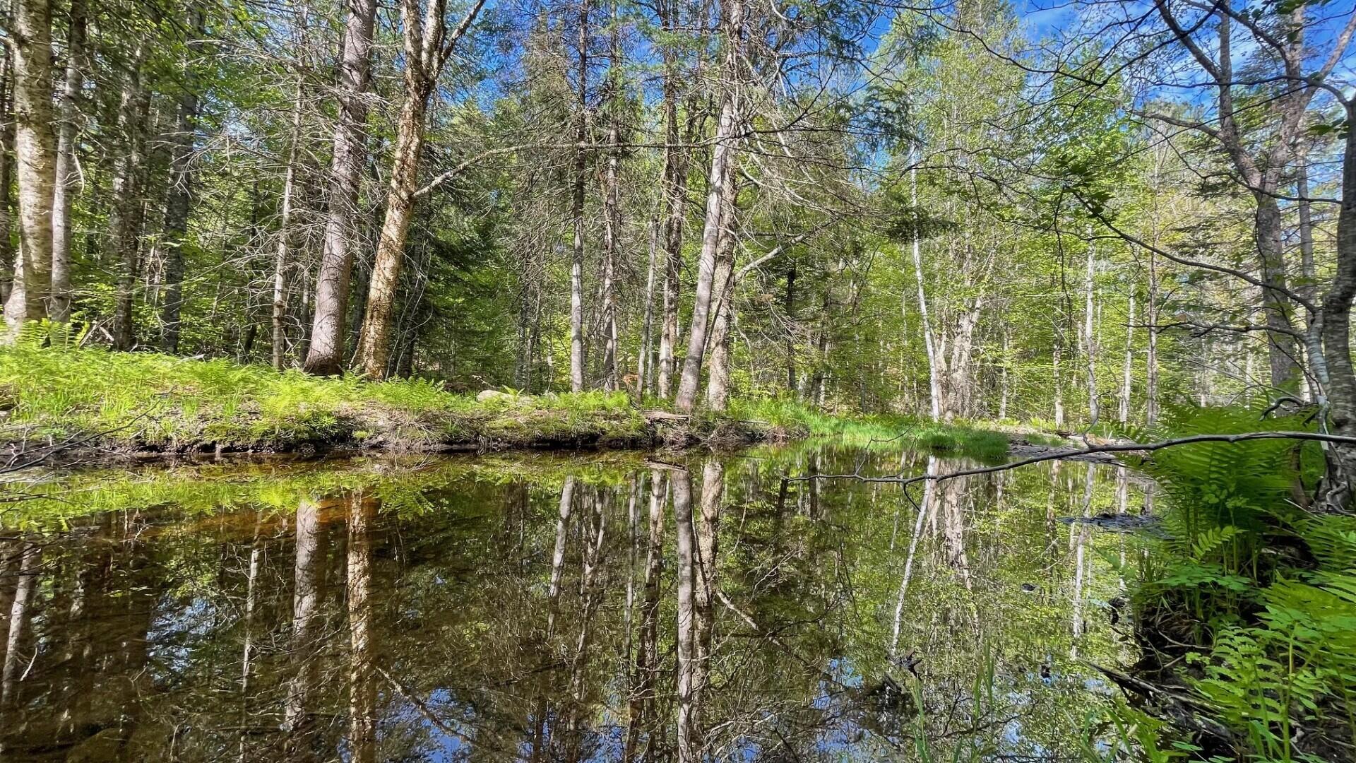 339 Long Pond Road Jackman, ME 04945 - Photo 1 of 30