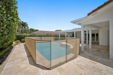 a view of a backyard with large trees and plants