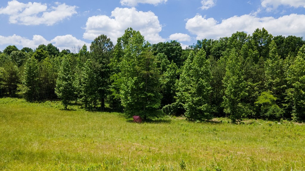 1 State Highway Calhoun, TN 37309 - Photo 11 of 20