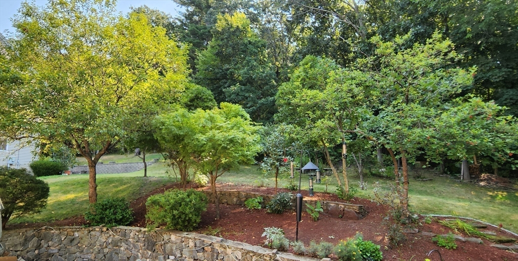 7 Tree Top Way Methuen, MA 01844 - Photo 31 of 35