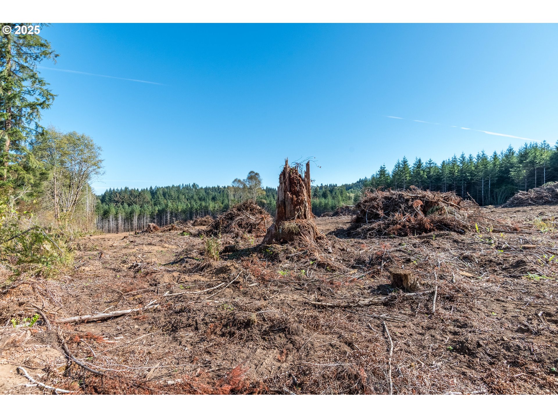 Orion Longview, WA 98632 - Photo 2 of 4