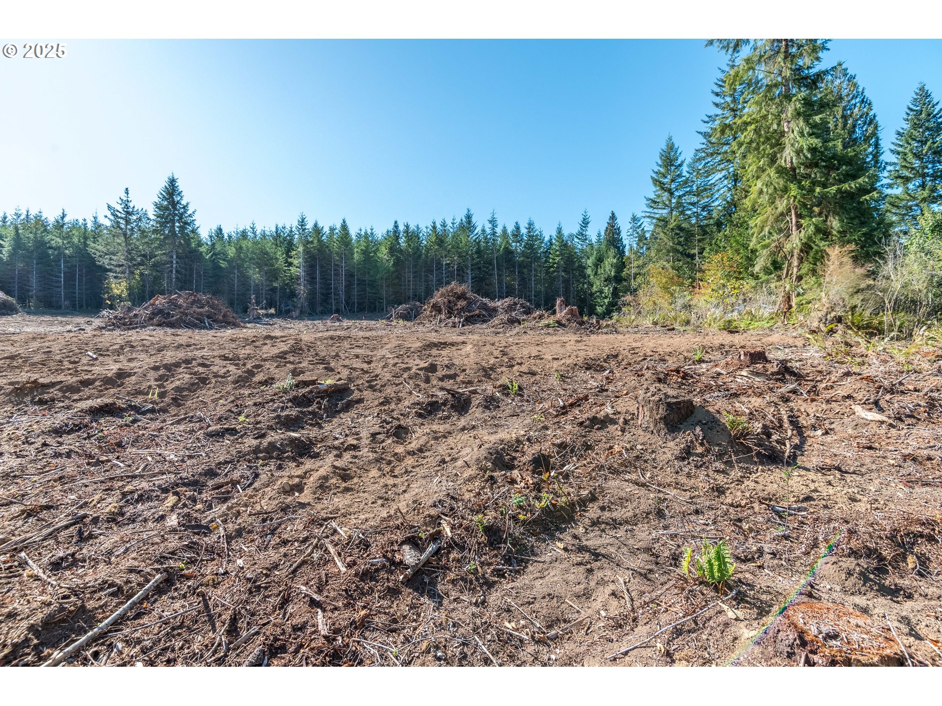 Orion Longview, WA 98632 - Photo 3 of 4